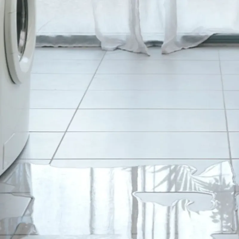 Appliance Leak Cleanup in Sun City Center, FL