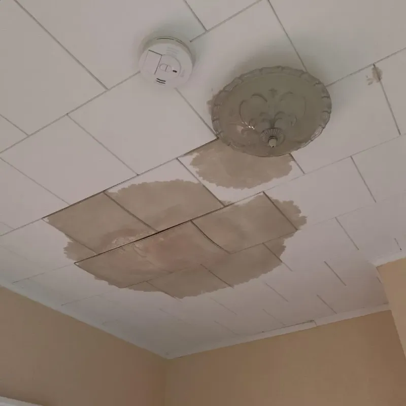 Ceiling Water Damage Repair in Sun City Center, FL